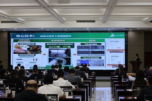 2025企創(chuàng)融通匯富硒產(chǎn)業(yè)專題現(xiàn)場(chǎng)活動(dòng)成功舉辦，信息技術(shù)咨詢服務(wù)賦能產(chǎn)業(yè)升級(jí)